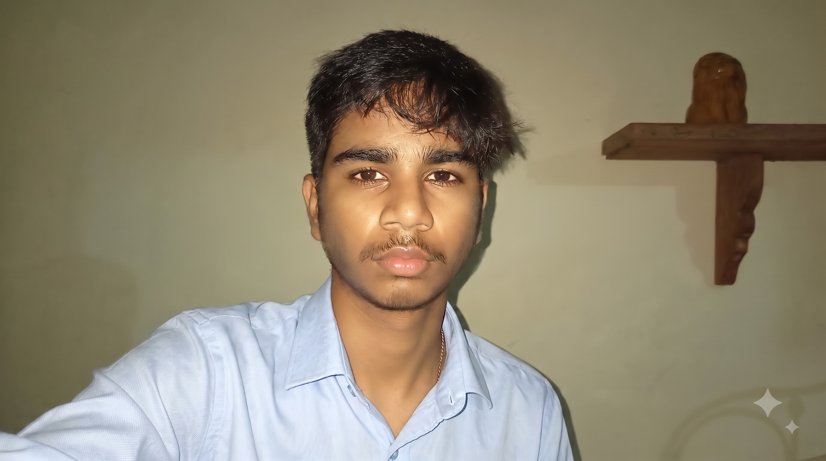 Pedeni Akhil - About Portrait